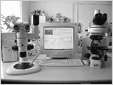Система оптической микроскопии